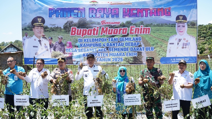 Muara Enim jadi Produsen Kentang Terbesar di Sumsel