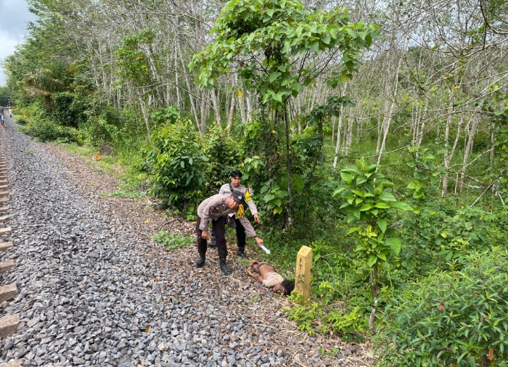Diduga Tertabrak Kereta, ODGJ di Muara Enim Ditemukan Tewas