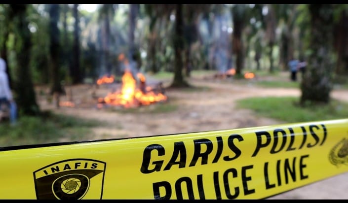 Arena Sabung Ayam di Muara Enim Digerebek Polisi