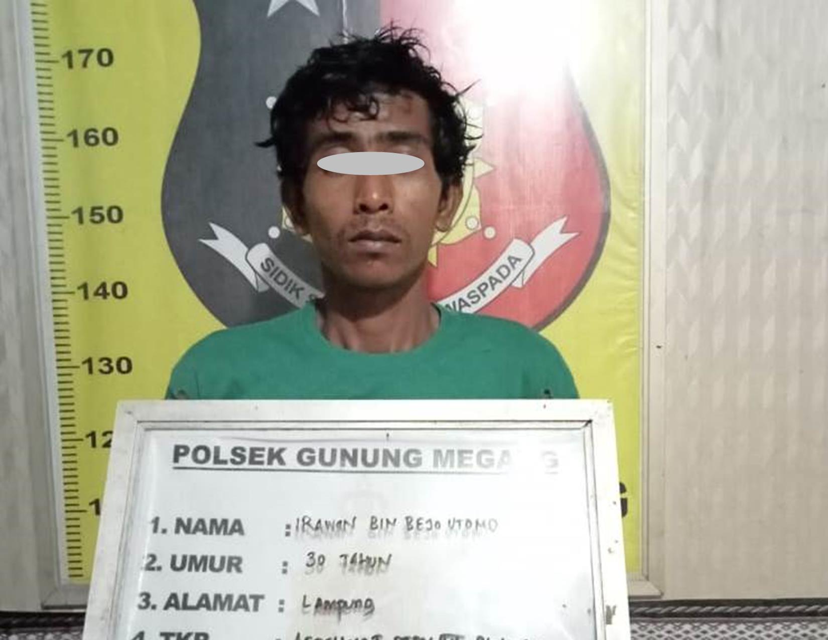 Team Trabazz Polsek Gunung Megang Ringkus Pencuri Kelapa Sawit, Tuh Orangnya