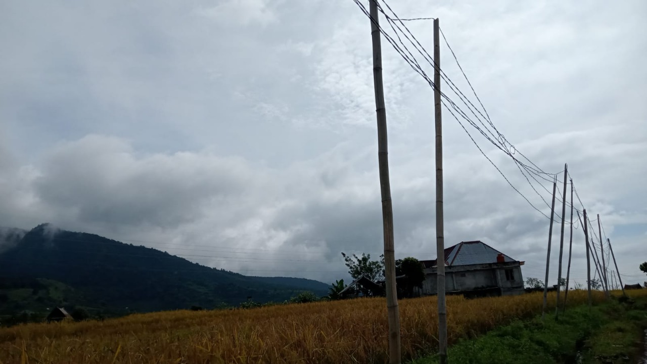 Bertahun-tahun Tiang Listrik di Desa Segamit Pakai Bambu