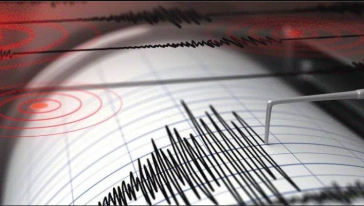 BREAKING NEWS: Gempa di Kaur Bengkulu Terasa Hingga Muara Enim