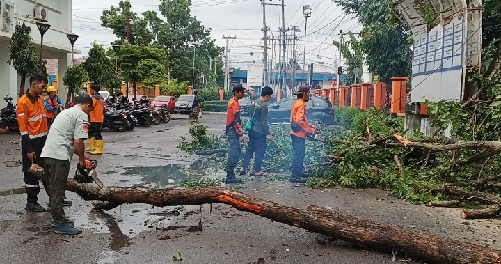 Dahan Pohon Timpa Kabel PLN di Muara Enim, Ribuan Rumah Gelap Gulita