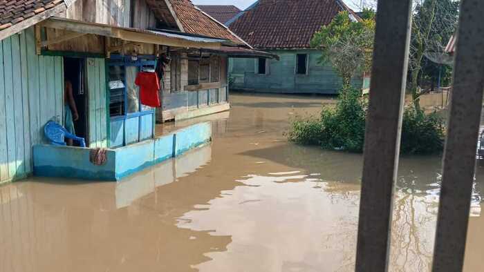 Desa Kuripan Selatan Rawan Banjir Akibat Luapan Air Sungai Lematang