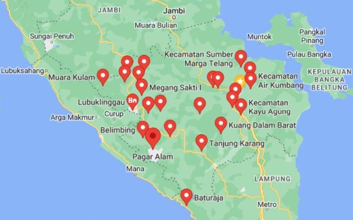 Waduh, 4 Kabupaten dan Kota di Provinsi Sumatera Selatan Ini Minim Perempuan