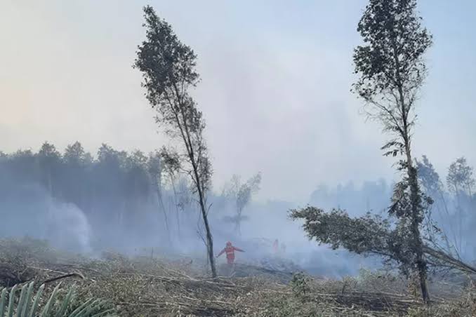 Waspada! Bukan Jakarta, Tapi Palembang yang Menjadi Kota dengan Polusi Terparah di Indonesia