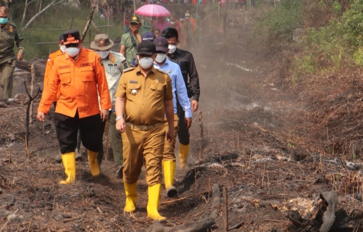 20 Hektare Hutan di Sungai Rotan Muara Enim Terbakar