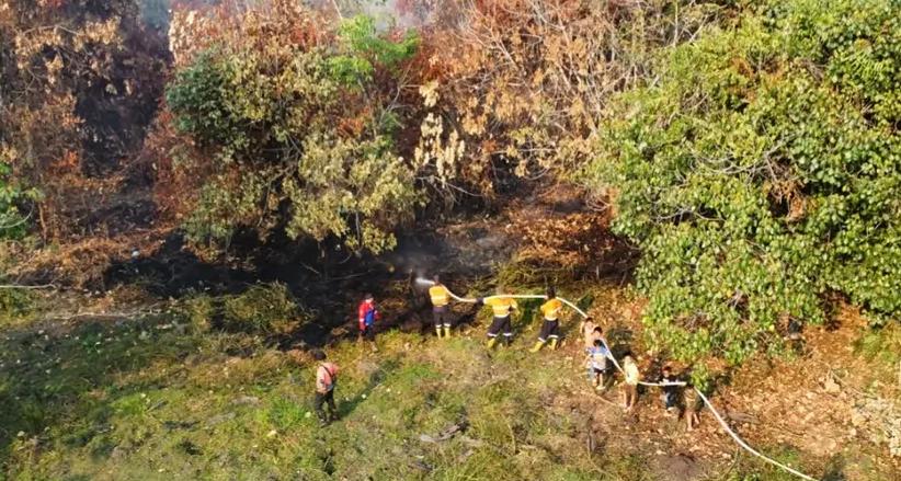 20 Hektare Lahan Terbakar di Muara Enim, Petugas Terkendala Akses dan Sumber Air