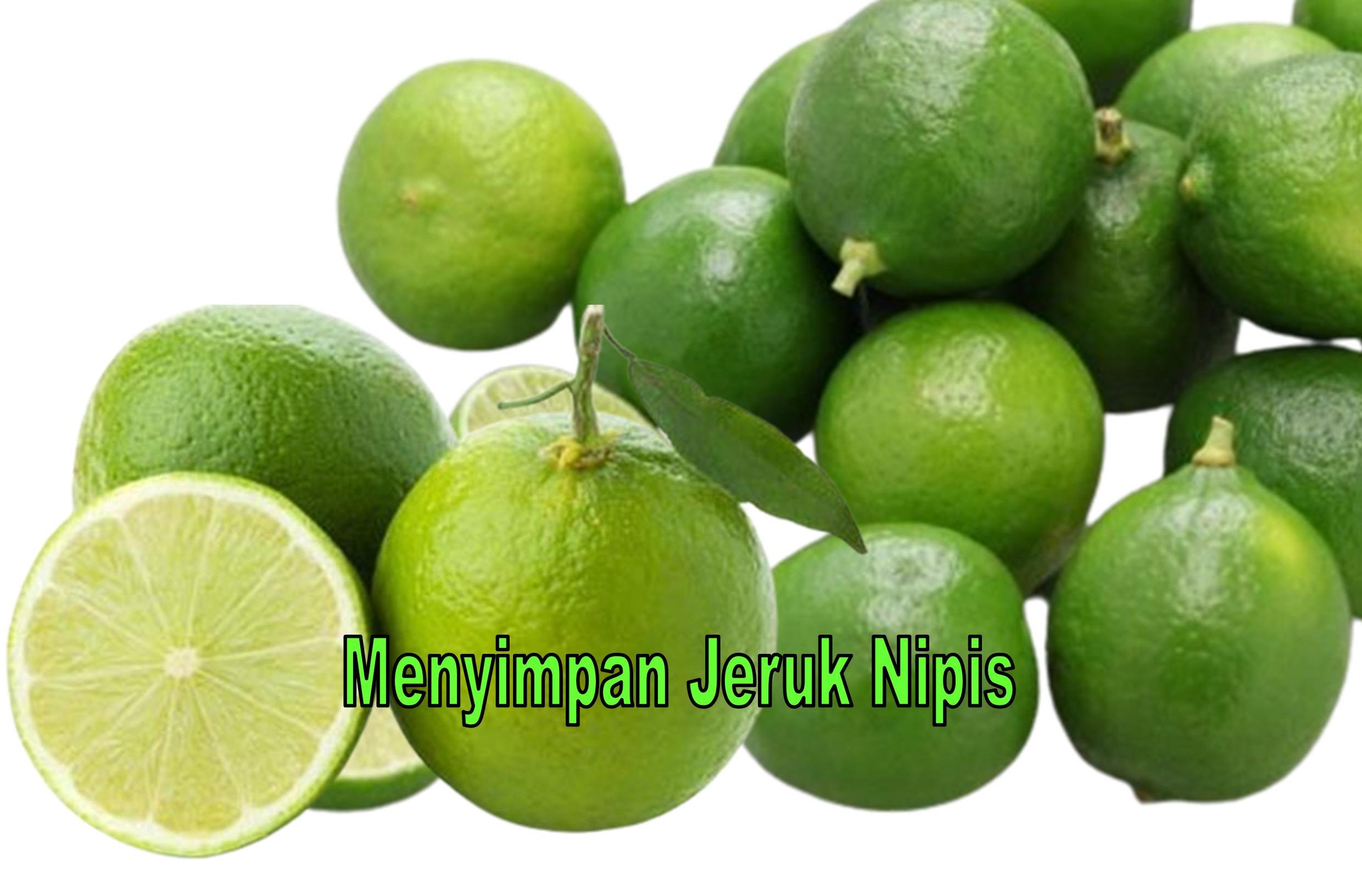 Jangan Biarkan Busuk! Stok Jeruk Nipis di Rumah Tahan Hingga 2 Bulan, Begini Cara Menyimpannya, Dijamin Awet