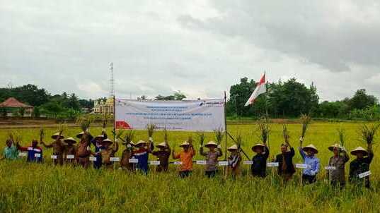 PT Pertamina EP Pendopo Field Dorong Pengembangan Padi Sri Organik