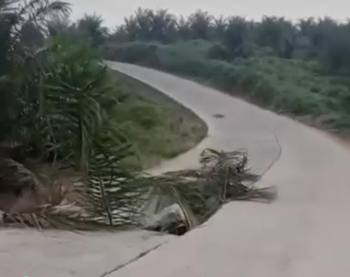 Jalan Alternatif Simpang Aur-Muara Harapan Mengalami Amblas