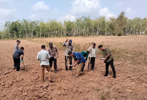 Polsek Lubai Bersama Kelompok Tani Tanam Jagung di Lahan 2 Hektare