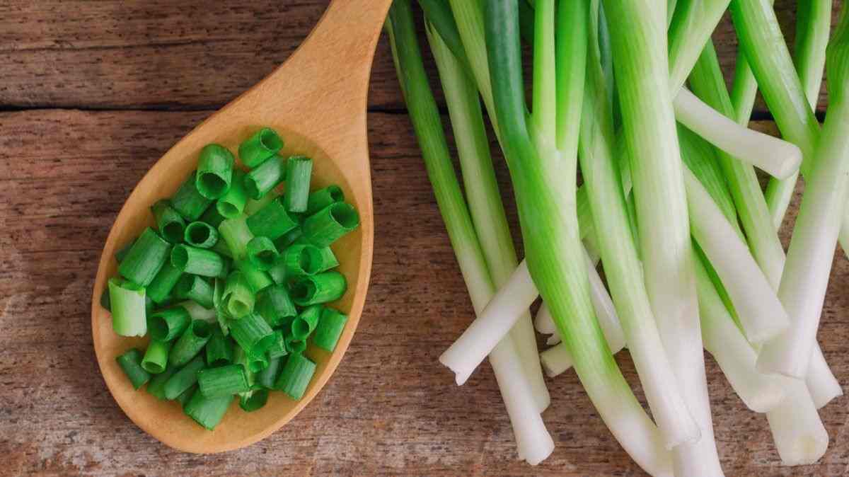 Wajib Ketahui Manfaat Daun Bawang, Ampuh Turunkan Berat Badan Hingga Mengobati Kanker, Begini Cara Pengobatann