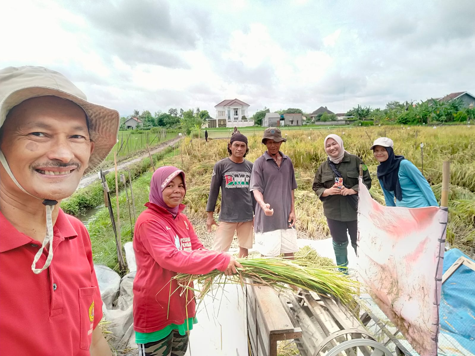 Gandeng Perguruan Tinggi Hingga Petani, PT Bukit Asam Kembangkan Inovasi Pertanian Berkelanjutan