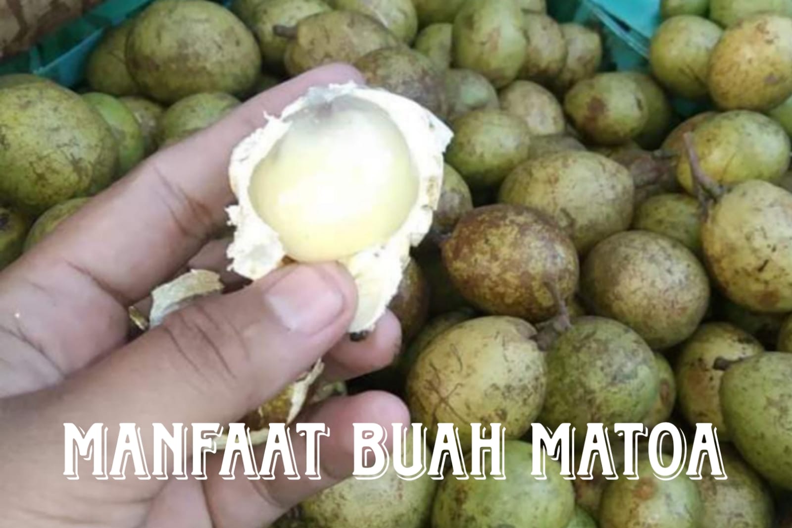 7 Manfaat Buah Matoa, Diantaranya Dapat Menjaga Kesehatan Kulit