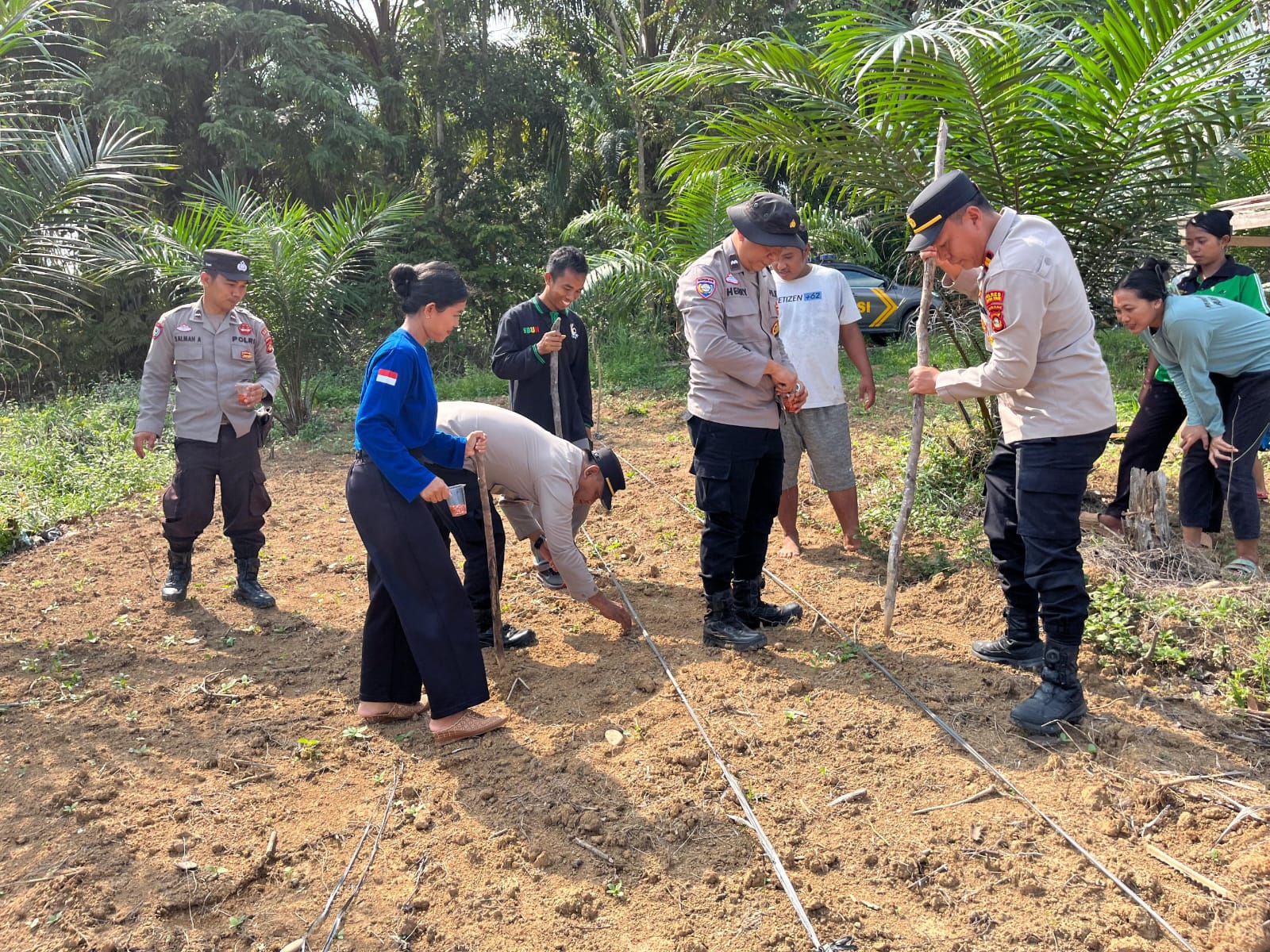 Kapolsek Tanam Jagung Bersama Warga