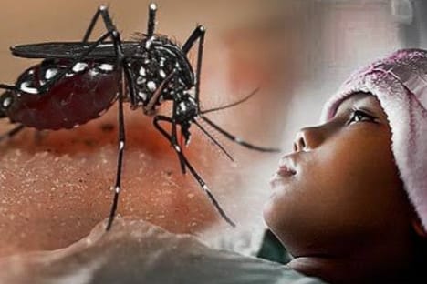 Musim Hujan Telah Tiba, Waspada Ancaman Nyamuk Aedes Aegypti! Begini Cara Mengurangi Risiko Gigitan Nyamuk