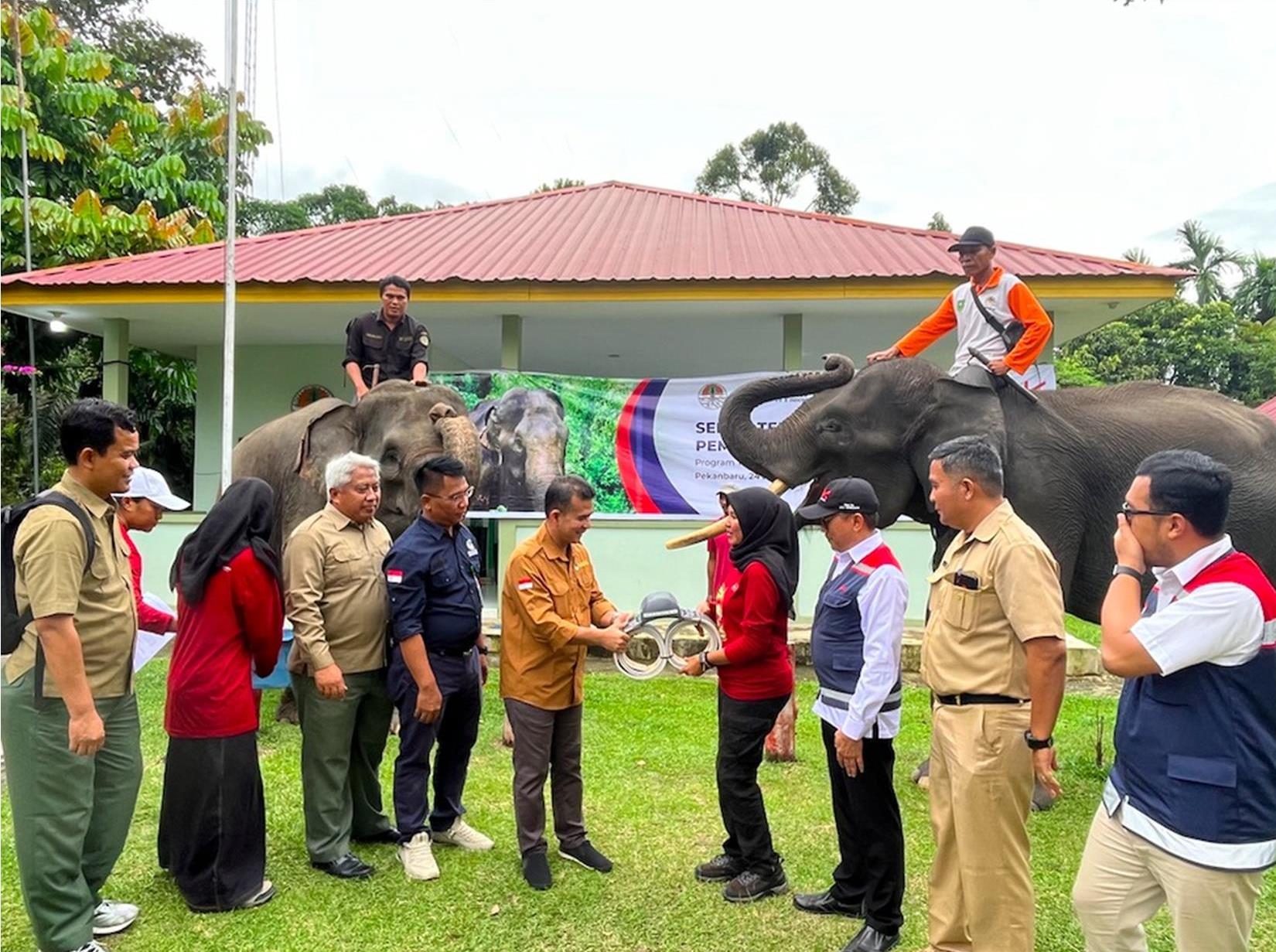 Hutama Karya Pasang GPS Collar untuk Pantau Gajah di Sekitar Tol Pekanbaru-Dumai