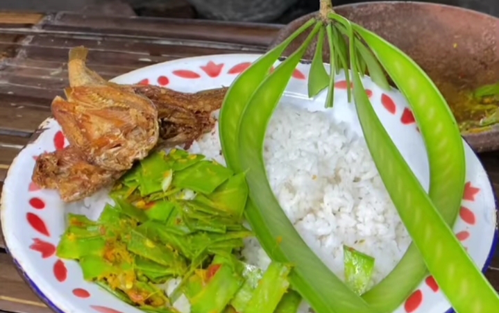 Benarkah Petai Cina Memiliki Banyak Manfaat untuk Kesehatan? Berikut Ini Jawabannya