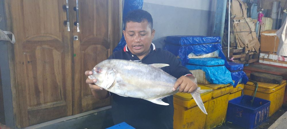  Gudang Lelang Teluk Betung, Surga Seafood dan Ikan Segar di Bandar Lampung 