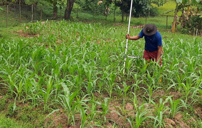 Aipda Amriyanto Rawat Tanaman Jagung Bersama Masyarakat