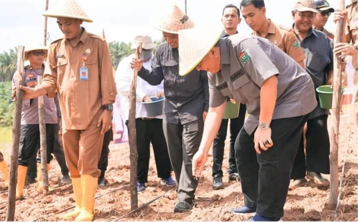 Wujudkan Ketahanan Pangan Nasional, Pj Bupati Muara Enim Tanam Padi Gogo di Desa Harapan Jaya