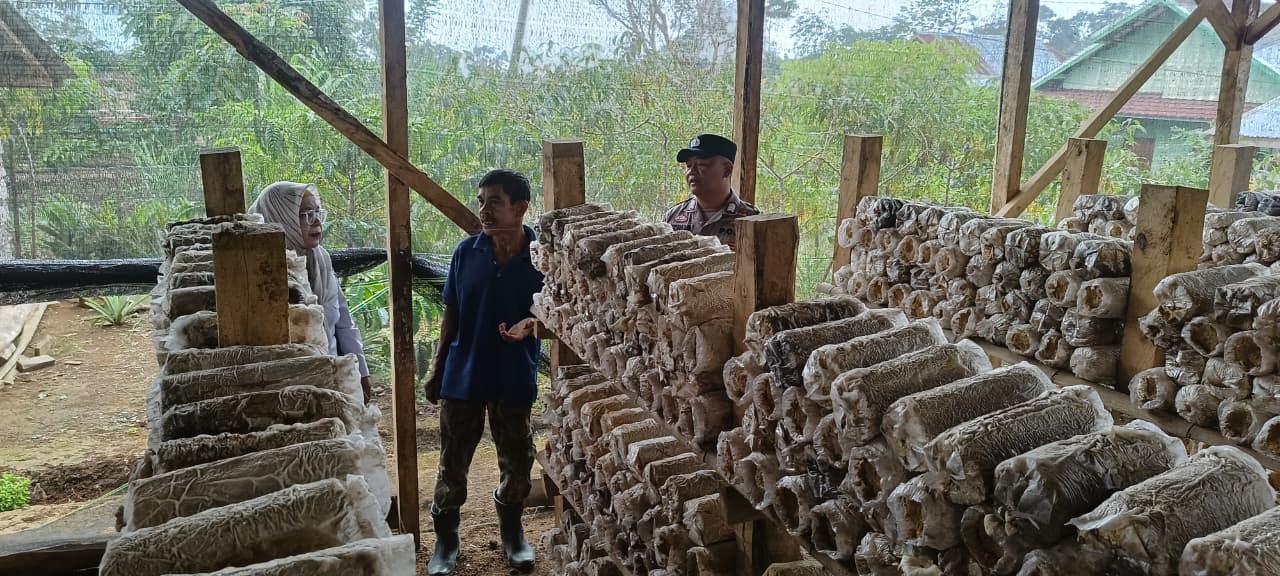 Dorong Ketahanan Pangan Lewat Budidaya Jamur Tiram