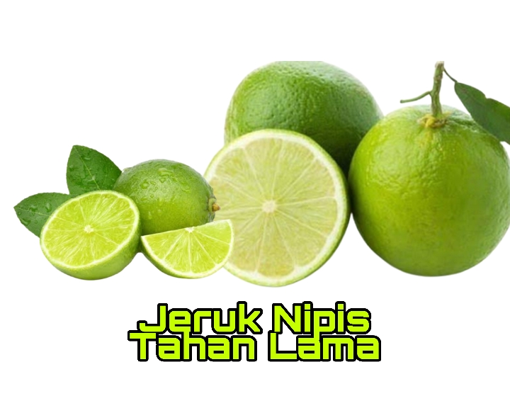 Tahan Lama Hingga 2 Bulan! Begini Cara Benar Menyimpan Jeruk Nipis Agar Tidak Kering dan Menguning