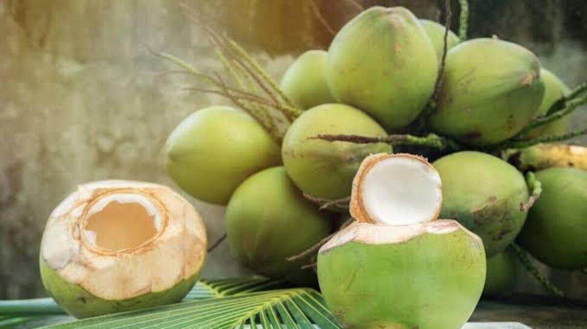 6 Manfaat Buah Kelapa Muda Saat Berpuasa, Rutin Mengonsumsi Kelapa Muda Puasa Tenang Tanpa Dehidrasi 