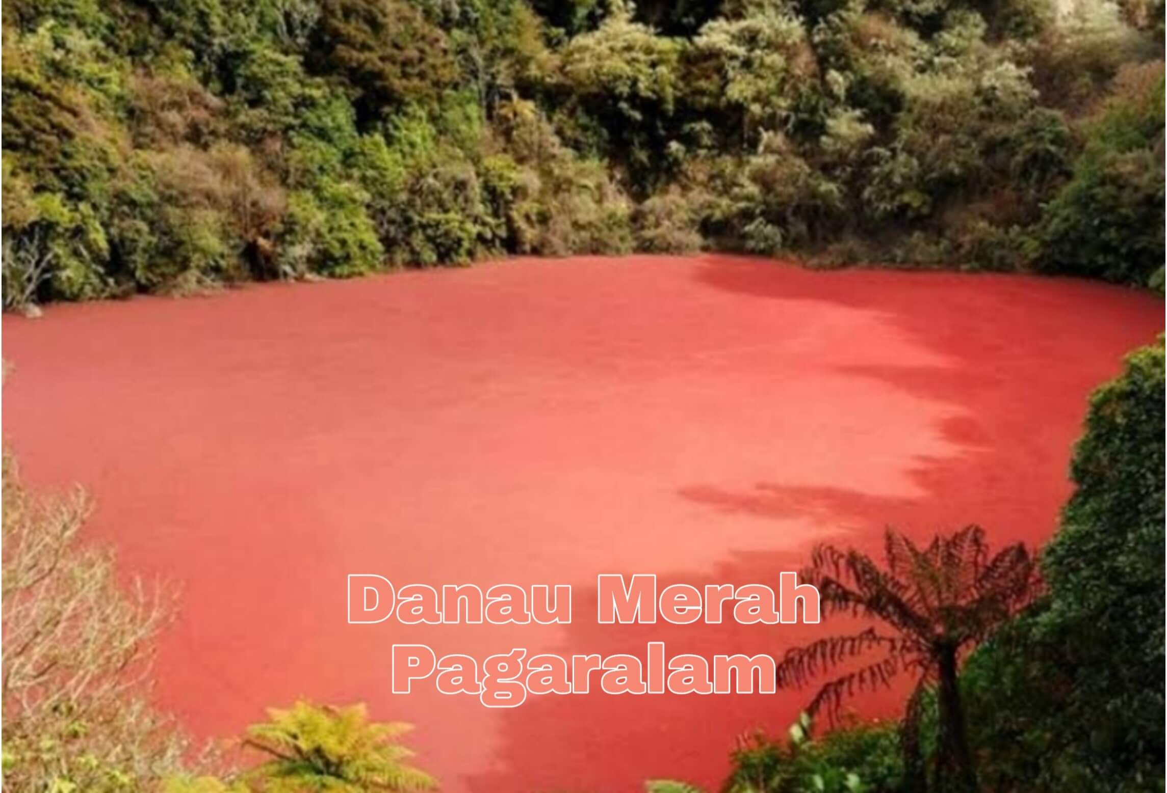 Mau Liburan Akhir Tahun? Kunjungi Saja Danau Merah Rimba Candi di Perbatasan Sumatera Selatan dan Bengkulu