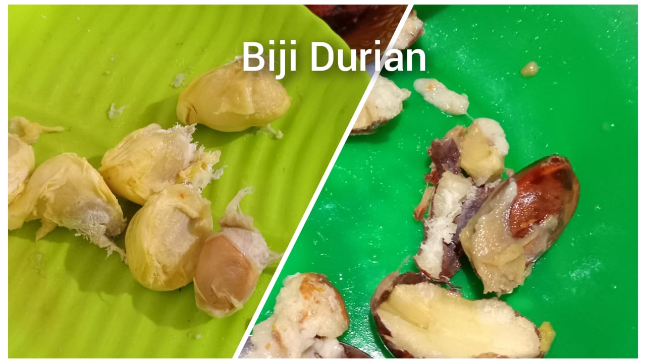 Biji Durian Bikin Tulang Otot dan Gigi Jadi Kuat, Itulah Orang di Pedesaan Jarang Osteoporosis