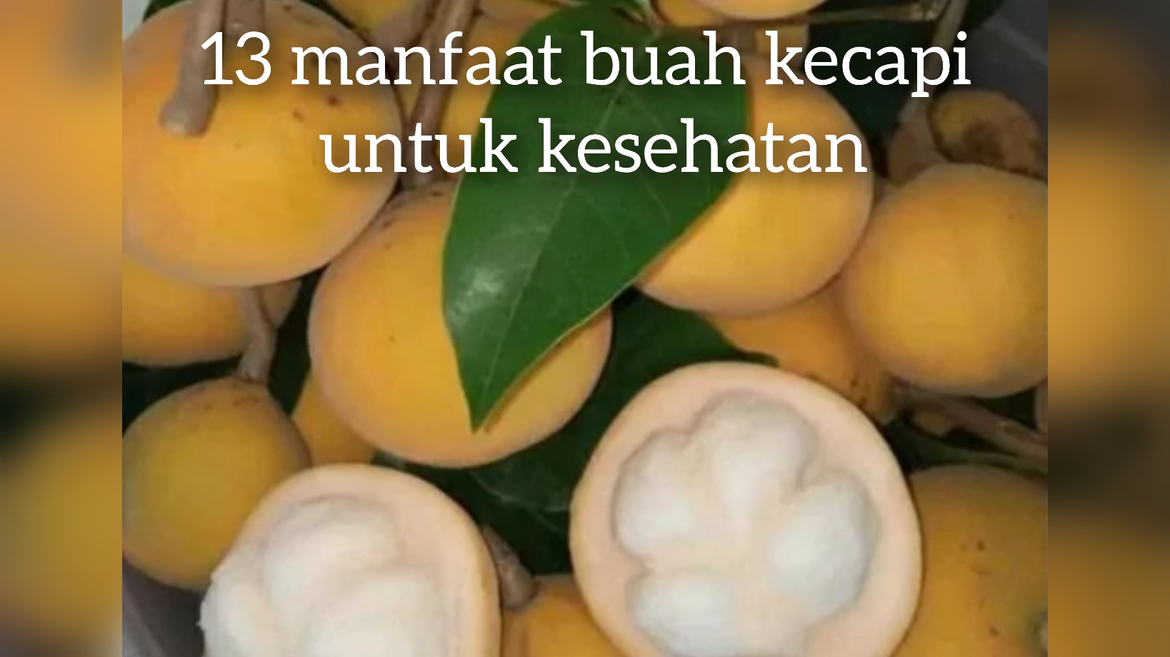 Sedikit Yang Mengetahui 13 Manfaat Kesehatan Dari Buah Kecapi Silahkan