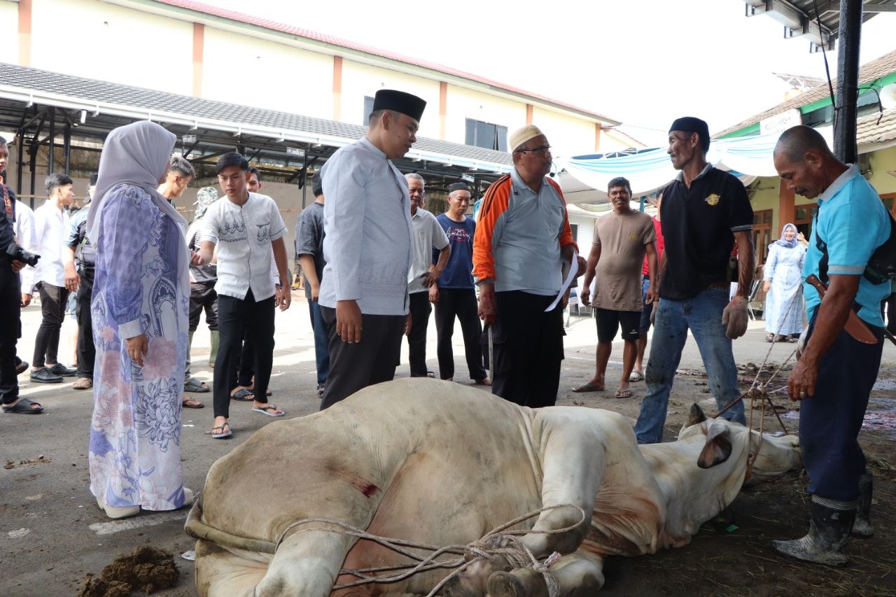 Polres Muara Enim Sembelih 14 Sapi dan 12 Kambing