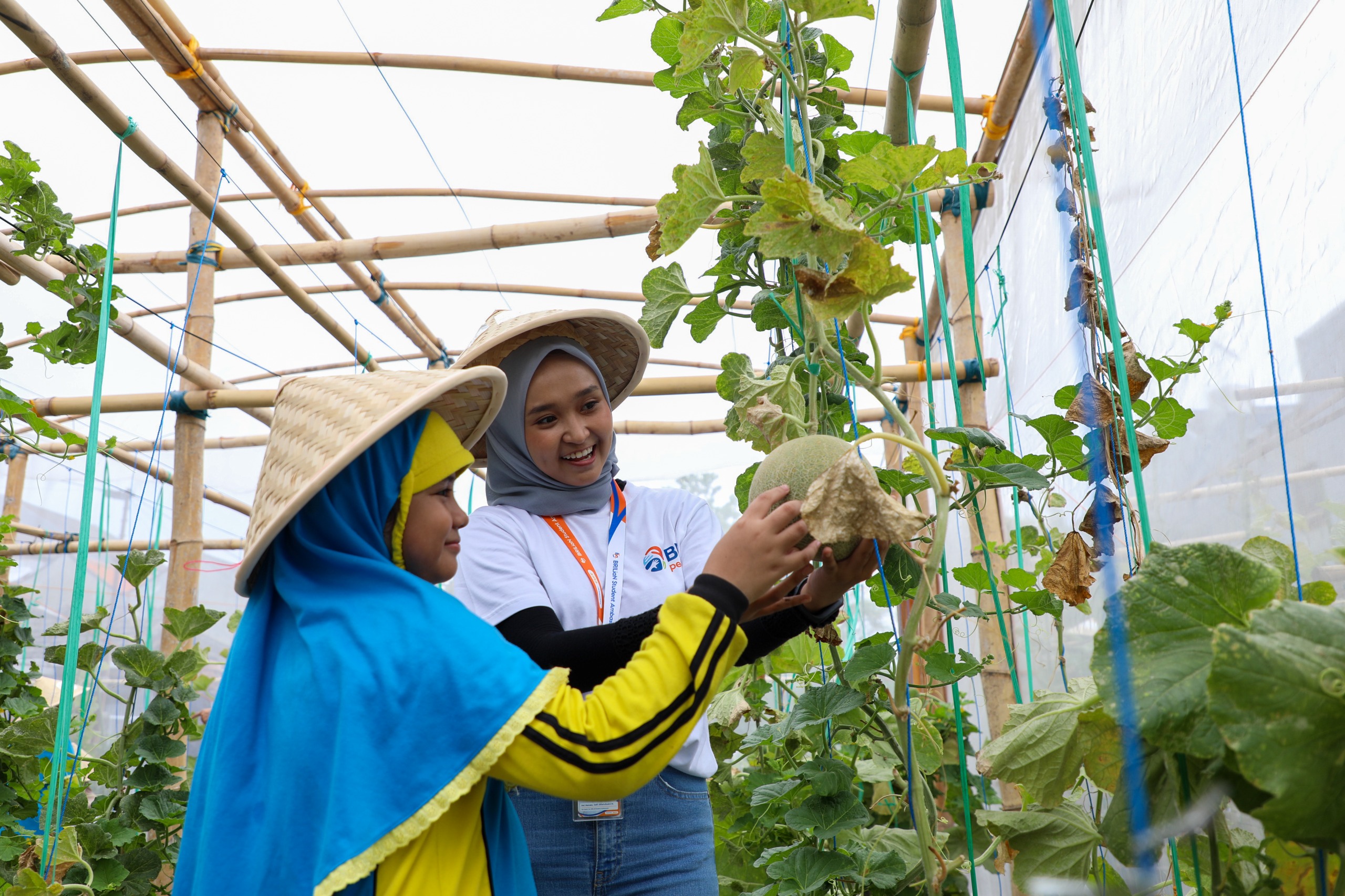 Program CSR BRI Raih Pengakuan Global Lewat 2 Penghargaan Internasional