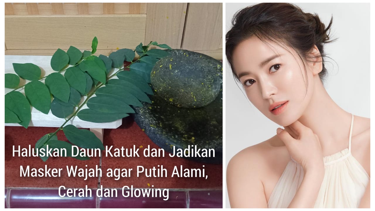 Haluskan Daun Katuk dan Jadikan Masker Wajah agar Putih Alami, Cerah dan Bebas Flek Hitam, Begini Caranya 