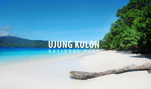 Taman Nasional Ujung Kulon, Wisata Alam Indonesia yang Masuk dalam UNESCO sebagai Situs Warisan Dunia