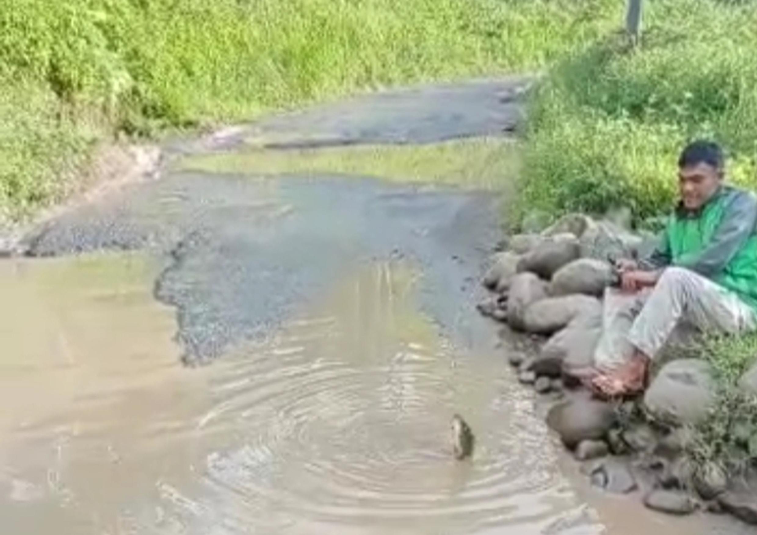 Protes Jalan Rusak, Warga Muara Enim Sumsel Mancing Ikan di Kubangan, Lihat Aksinya