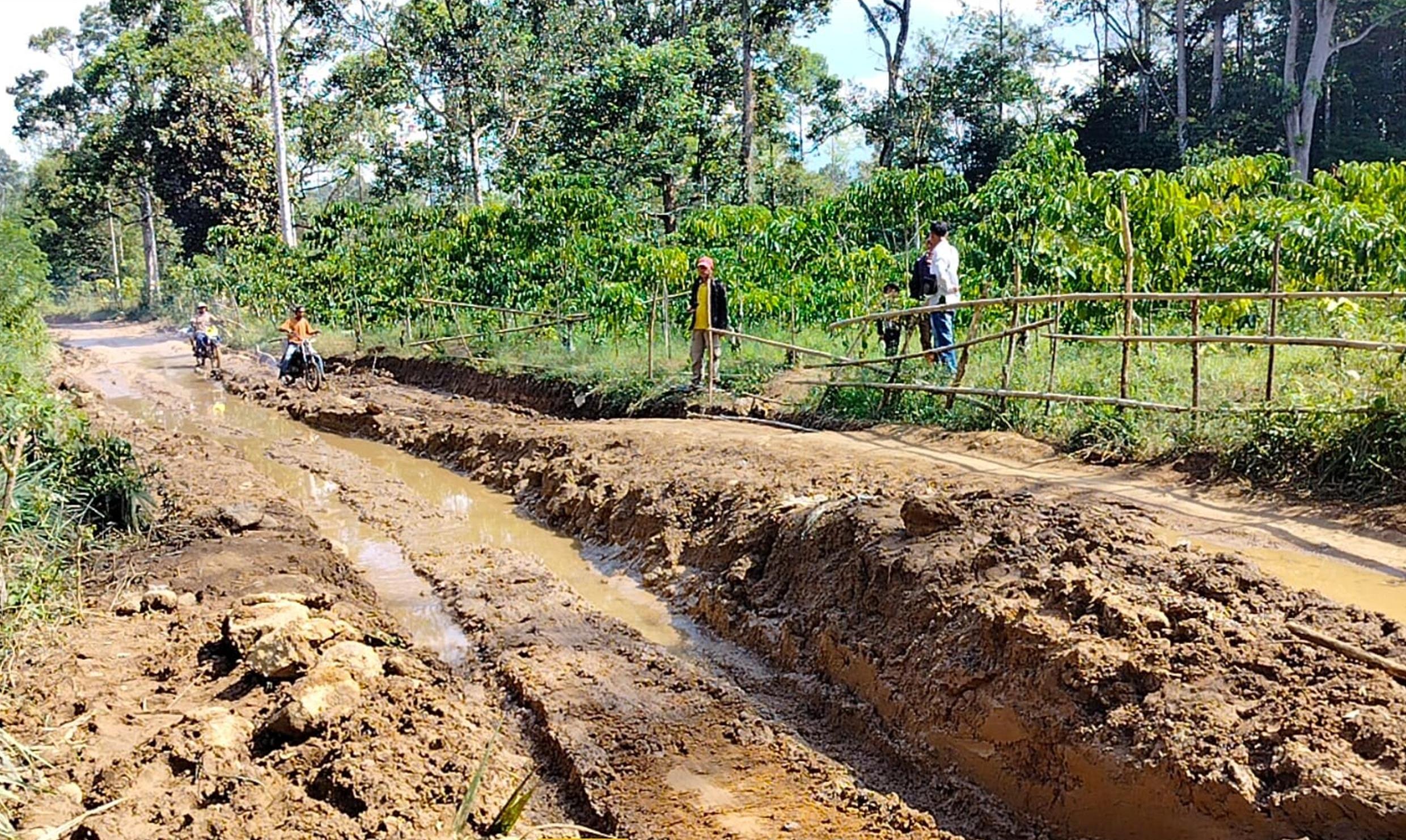 Sepanjang 8 Km Jalan di Daerah Ini Rusak Berat, Begini Harapan Warga