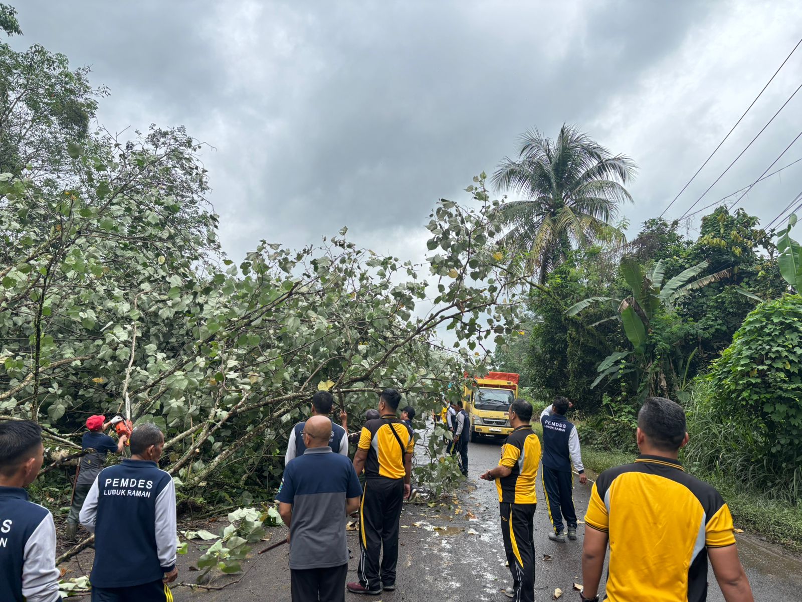 Polisi Bersama Masyarakat Gotong Royong Tebang Pohon Rawan Tumbang