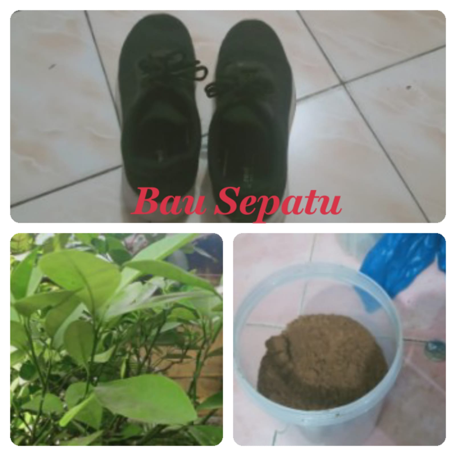 Ternyata Daun Jeruk Nipis dan Bubuk Kopi Ampuh Hilangkan Bau Sepatu dan Kaos Kaki, Begini Caranya  