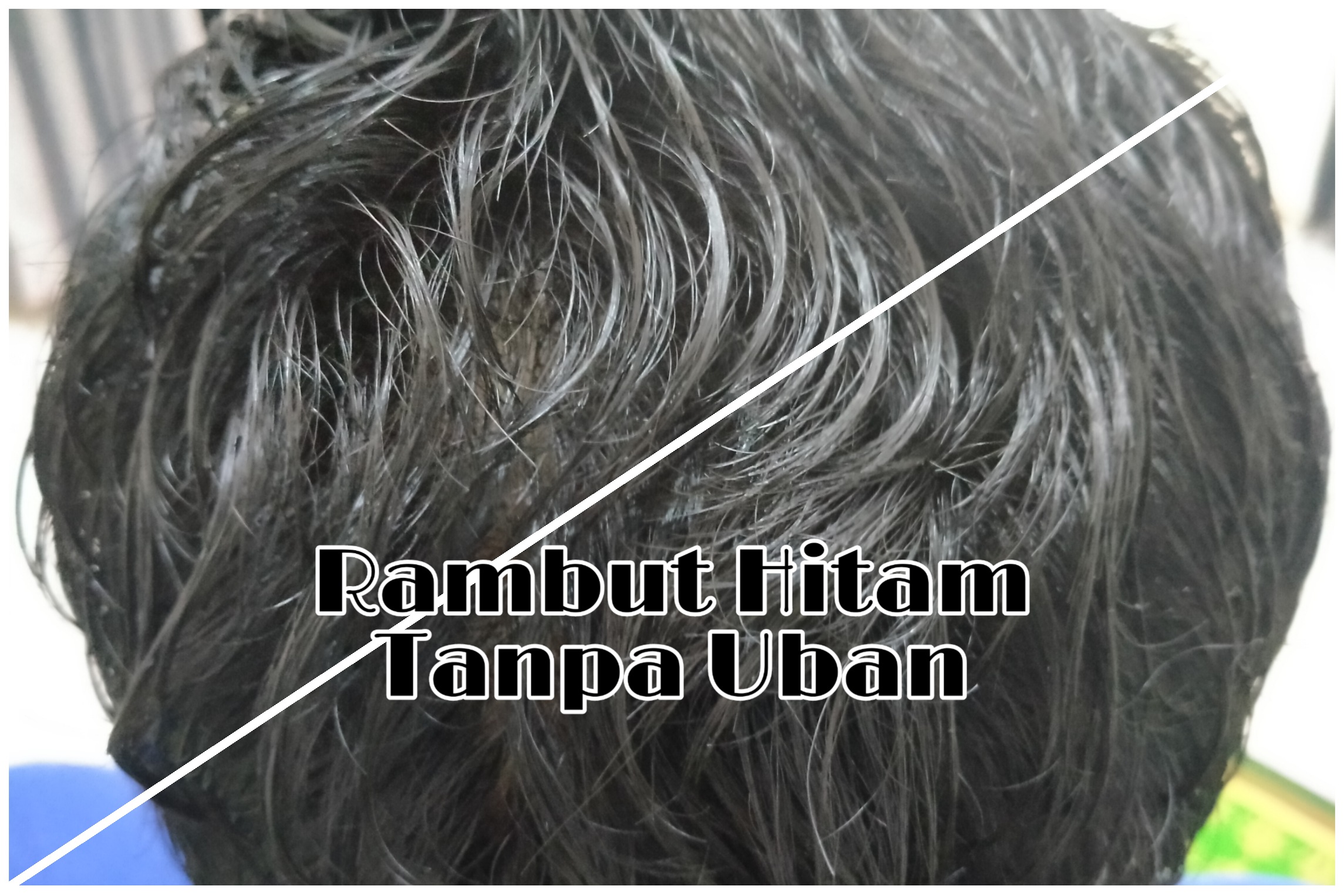 Tak Perlu Cat Rambut, Hilangkan Uban Hingga ke Akar Secara Permanen Bisa Gunakan Minyak Kayu Putih Cap Lang