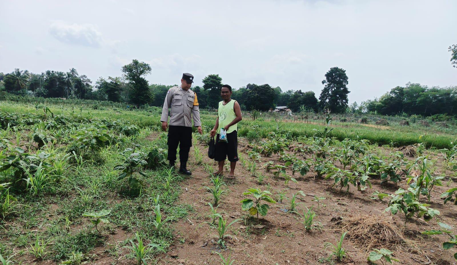 Petani Kesulitan Pupuk dan Racun Hama