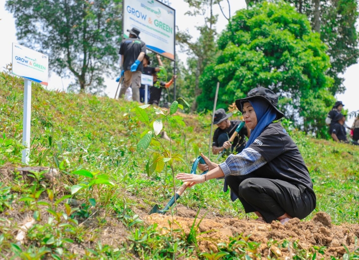 Pulihkan Hutan Bekas Tambang, Aksi Nyata Kelompok Tani Selamatkan Lingkungan Bersama BRI Menanam-Grow & Green