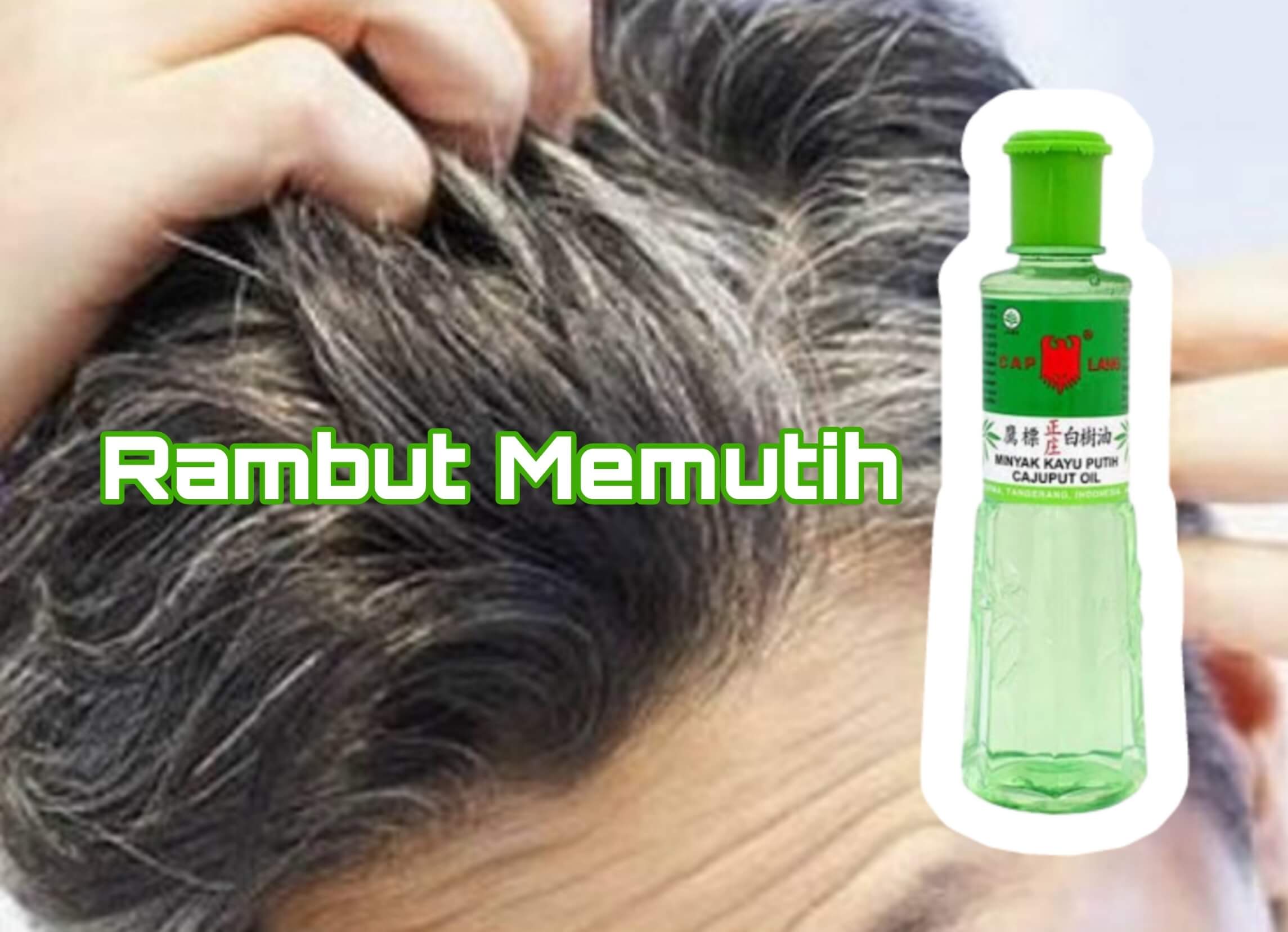 Ini Cara Hilangkan Rambut Memutih Pakai Minyak Kayu Putih Cap Lang, Lebih Efektif dan Aman