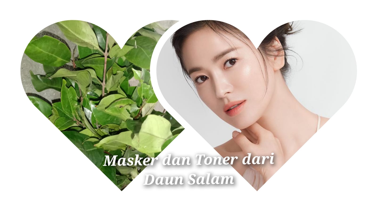 Cara Bikin Masker dan Toner Wajah dari Daun Salam, Gampang Banget