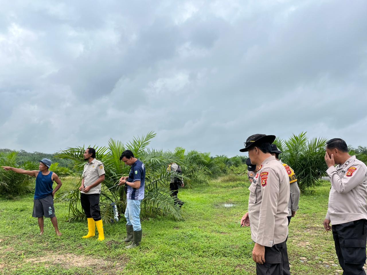 Dukung Ketahanan Pangan, Polres Muara Enim Tinjau Lahan Jagung yang Bermasalah
