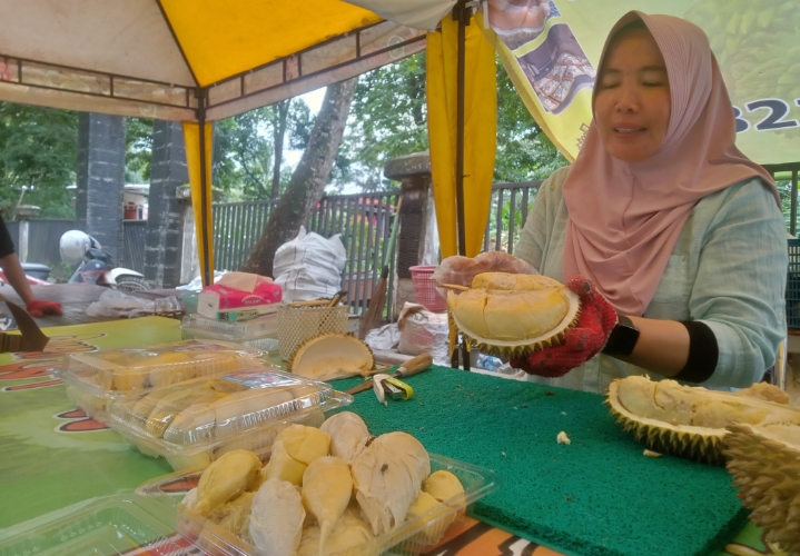 Durian Kupas Bibik Permirsa Muara Enim Tawarkan Kualitas Super dengan Harga Terjangkau