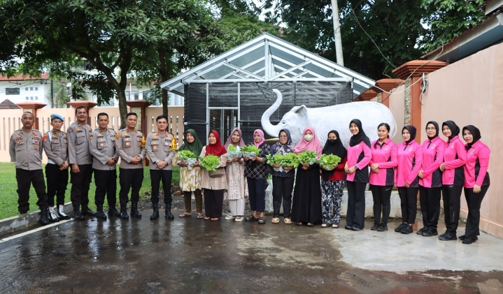 Bhayangkari Polres Muara Enim Panen Perdana Selada dan Pakcoy