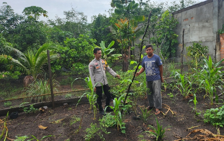 Bhabinkamtibmas Polsek Lembak Polres Muara Enim Gencarkan Gerakan Ketahanan Pangan