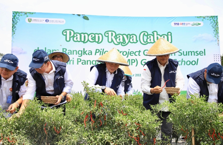 Pj Gubernur Bersama Kepala Perwakilan BI Sumsel Panen Raya Cabai di SMK Negeri 1 Gelumbang